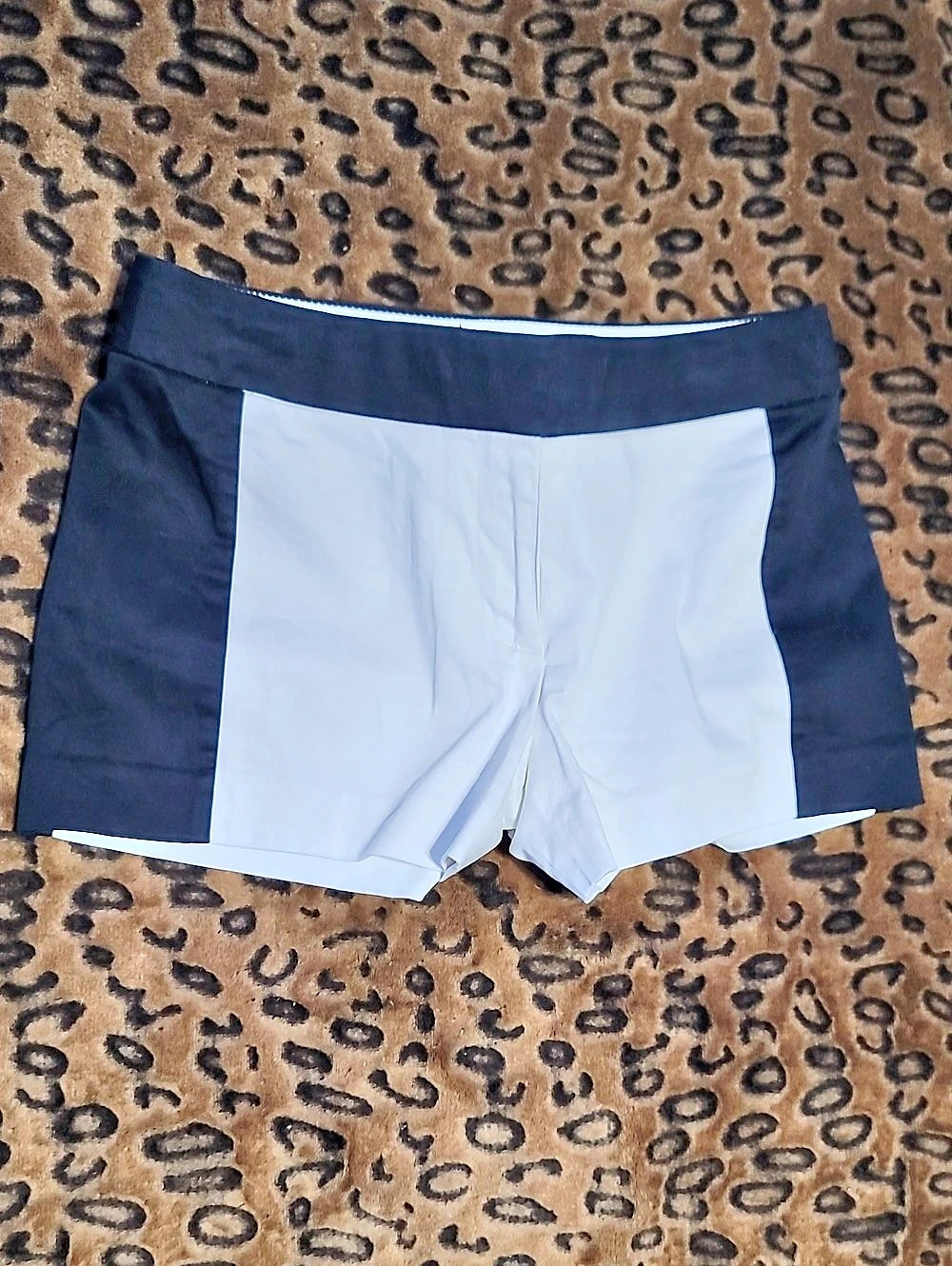 J.Crew Color Block Shorts Size 00